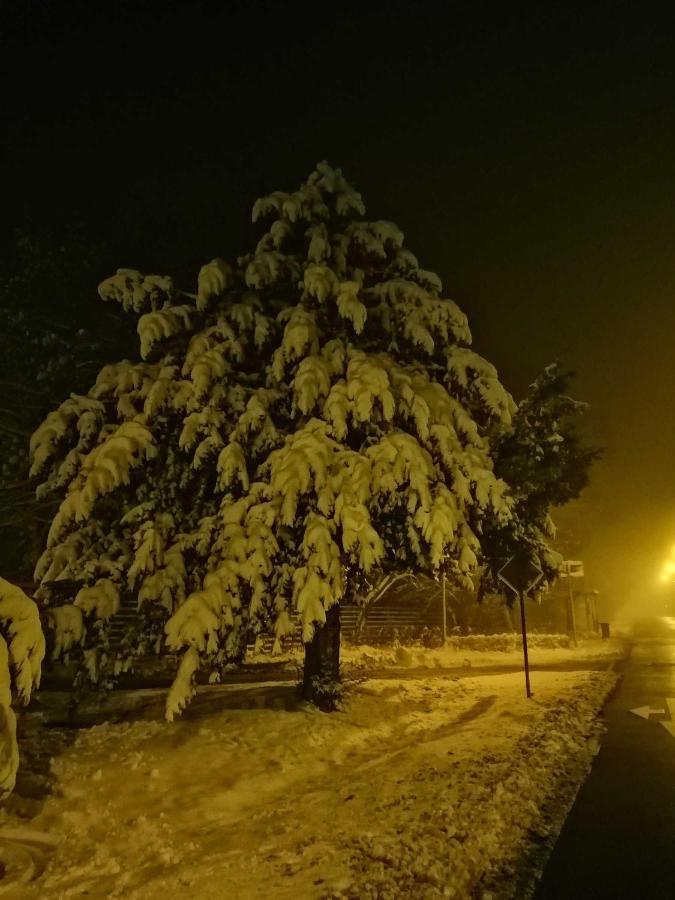 Ferienwohnung Natur Pur Muehlental Вернигерод Екстериор снимка